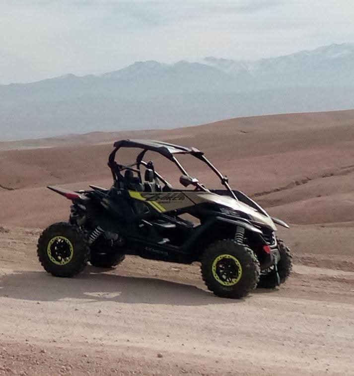 Black and green buggy in desert landscape