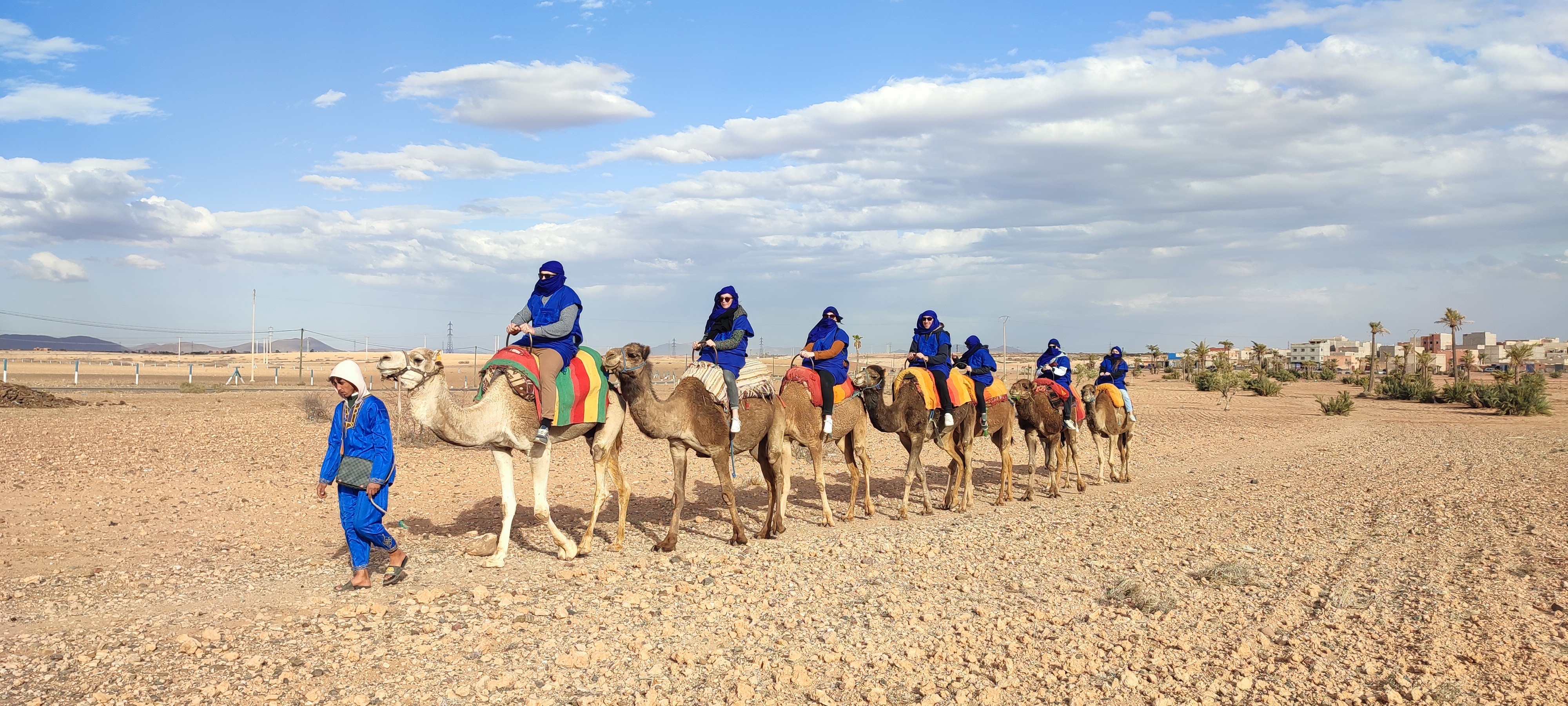 Long line of tourists on camels in desert with guide