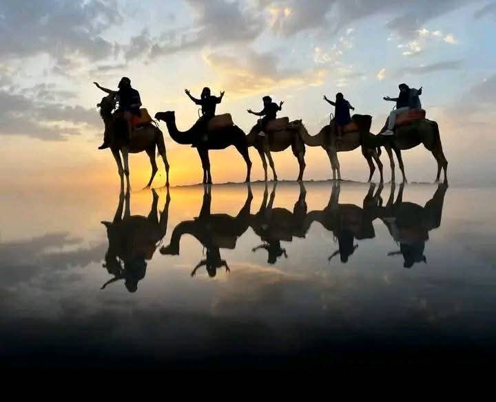 Camel caravan silhouettes with water reflection