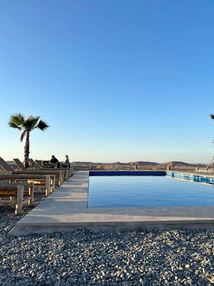 Desert pool oasis with palm trees