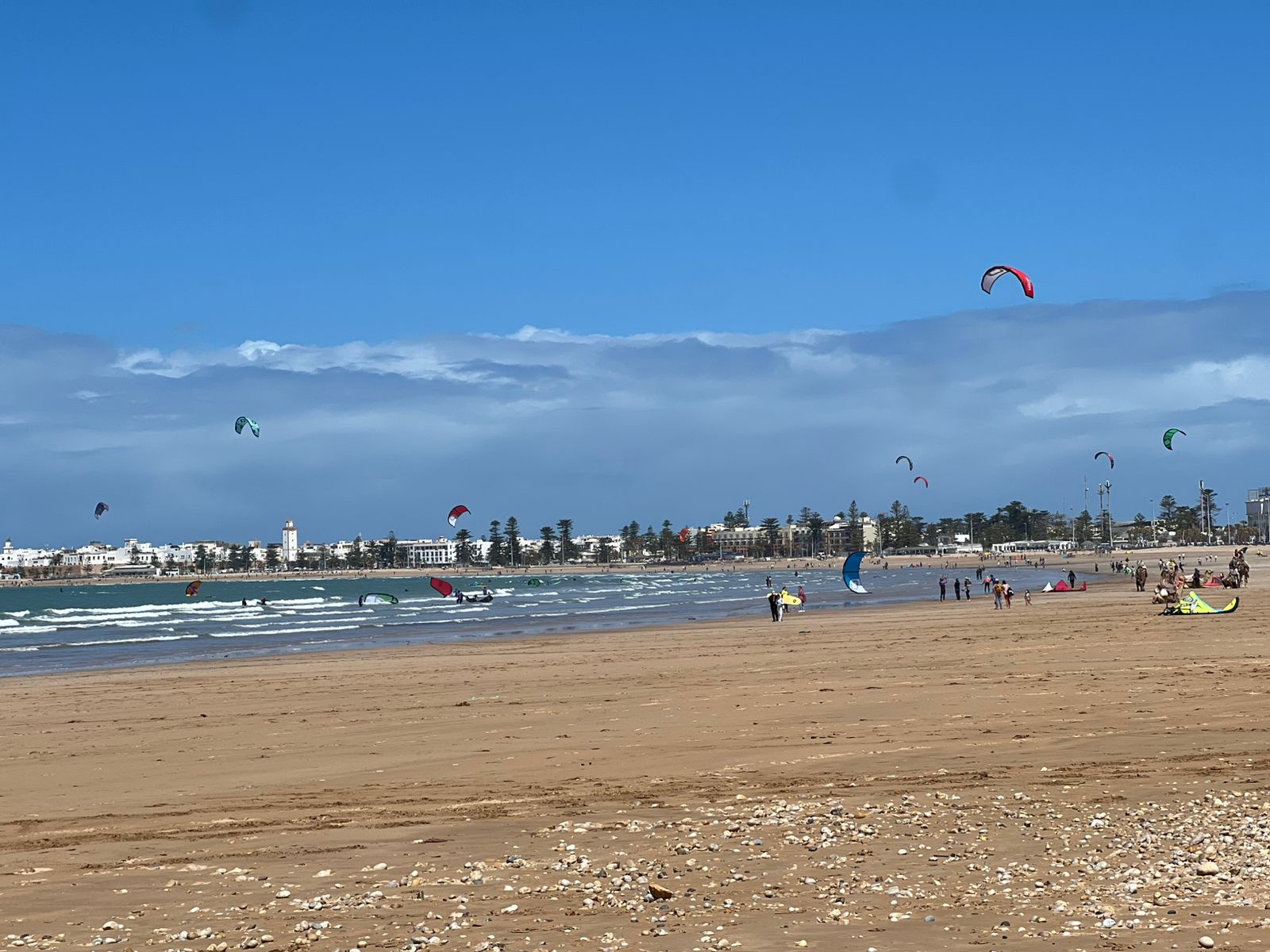 Kitesurfing beach with colorful kites in the sky