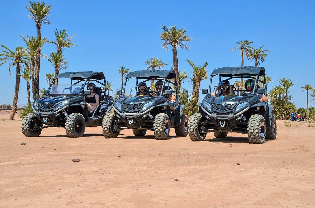 Three identical buggies lined up with riders among palm trees