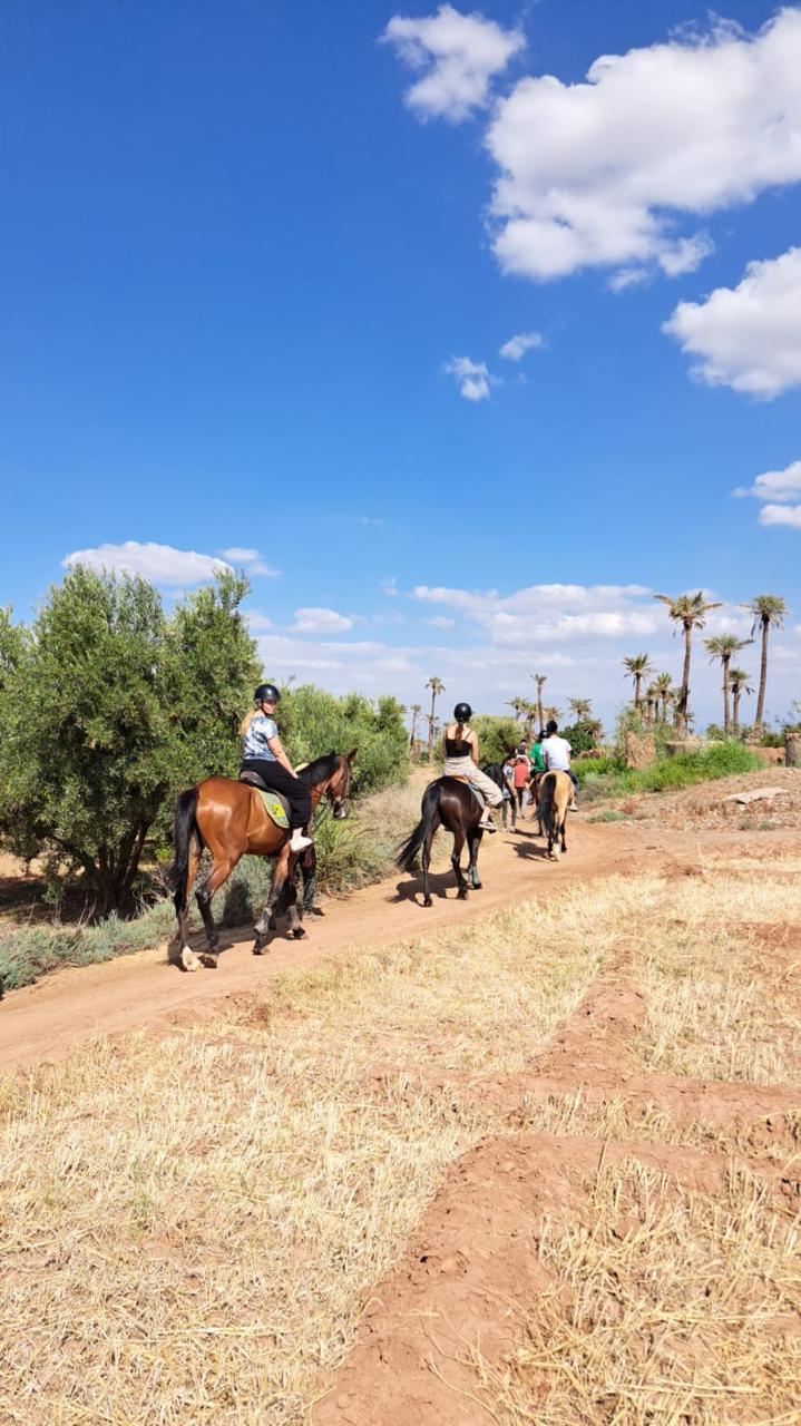 Horse Ride in Palmeraie